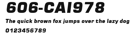 606-CAI978 Preview