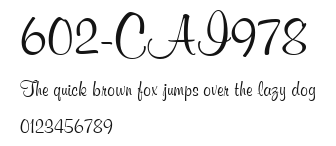 602-CAI978 Preview