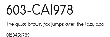 603-CAI978 Preview