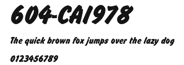 604-CAI978 Preview