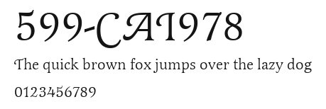 599-CAI978 Preview