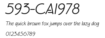 593-CAI978 Preview