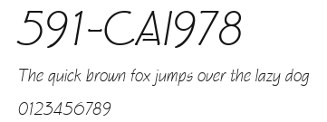 591-CAI978 Preview
