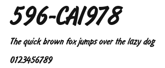 596-CAI978 Preview