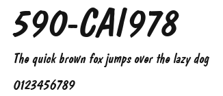 590-CAI978 Preview
