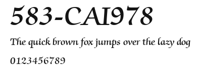 583-CAI978 Preview