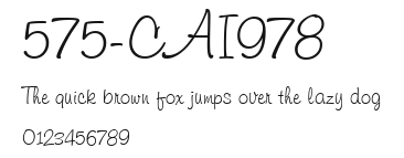 575-CAI978 Preview