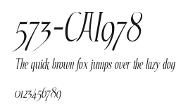 573-CAI978 Preview