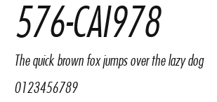 576-CAI978 Preview
