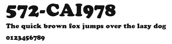 572-CAI978 Preview