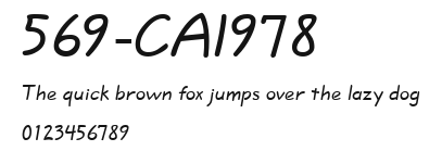 569-CAI978 Preview