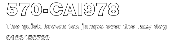 570-CAI978 Preview
