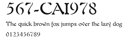 567-CAI978 Preview