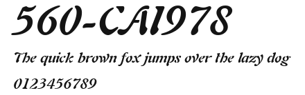 560-CAI978 Preview