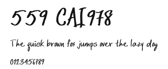 559-CAI978 Preview