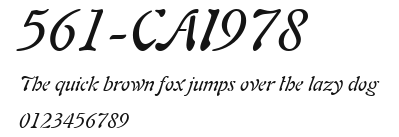 561-CAI978 Preview