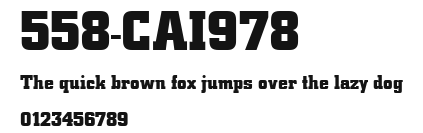 558-CAI978 Preview