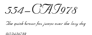 554-CAI978 Preview