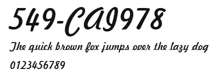 549-CAI978 Preview