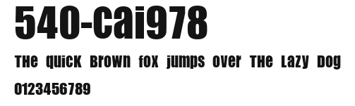 540-CAI978 Preview