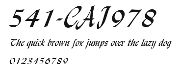 541-CAI978 Preview