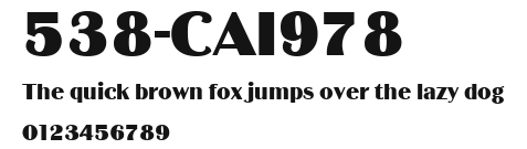 538-CAI978 Preview