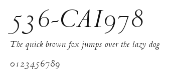 536-CAI978 Preview