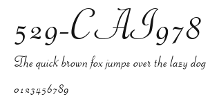 529-CAI978 Preview