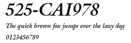 525-CAI978 Preview