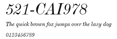 521-CAI978 Preview