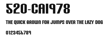 520-CAI978 Preview