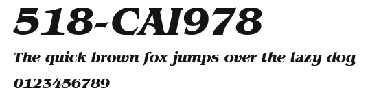 518-CAI978 Preview