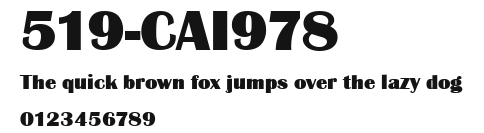 519-CAI978 Preview
