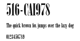 516-CAI978 Preview