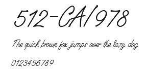 512-CAI978 Preview