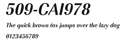 509-CAI978 Preview
