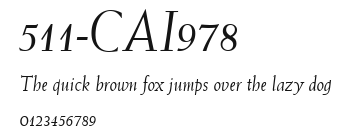 511-CAI978 Preview