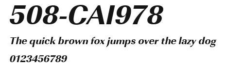 508-CAI978 Preview