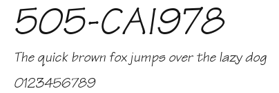 505-CAI978 Preview