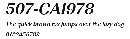 507-CAI978  Preview