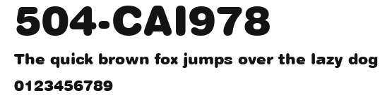 504-CAI978 Preview