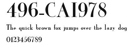 496-CAI978 Preview