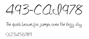 493-CAI978 Preview