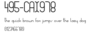 495-CAI978 Preview