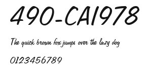490-CAI978 Preview
