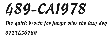 489-CAI978 Preview