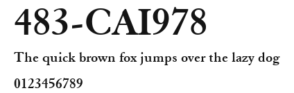 483-CAI978 Preview