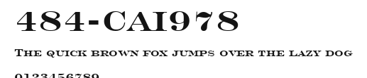484-CAI978 Preview
