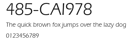 485-CAI978 Preview