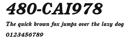 480-CAI978 Preview